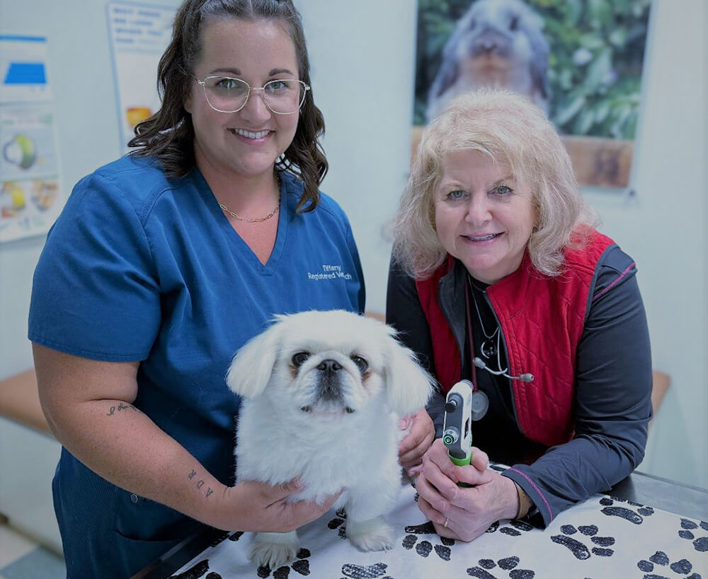 Our Story - img2 cat reaching up and to the right surrounded by paw and yarn doodles