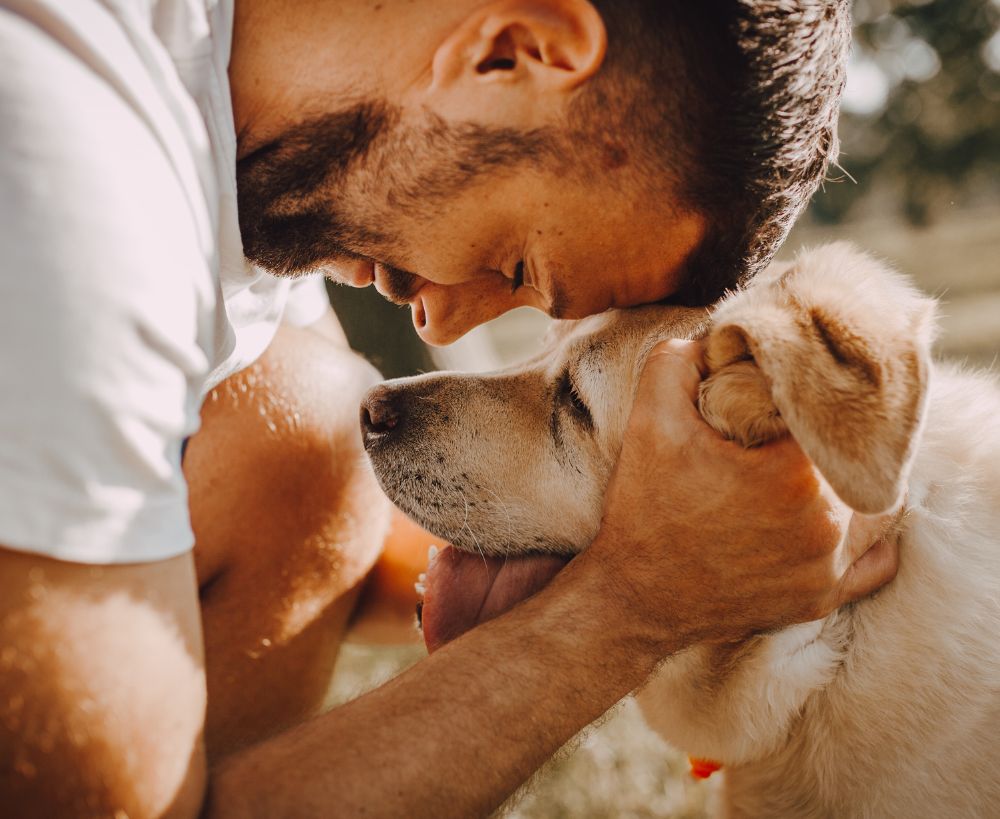 A person gently embraces a light-colored dog, resting their forehead on the dog's head