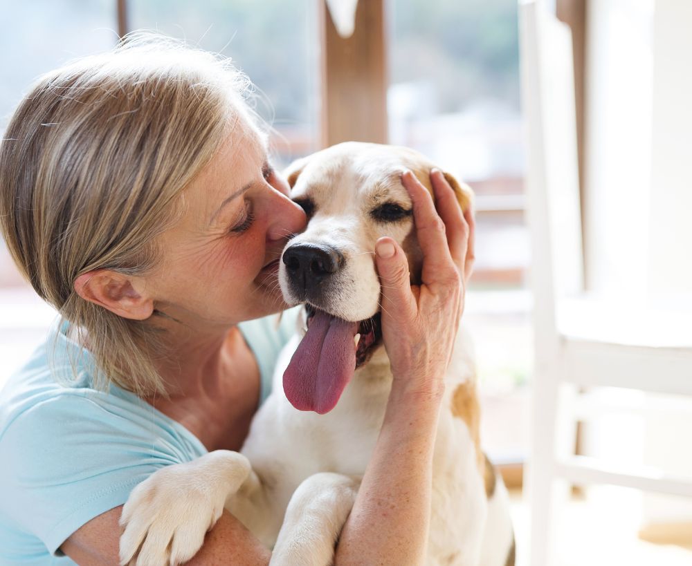 A person gently kisses a dog on the head while holding its face