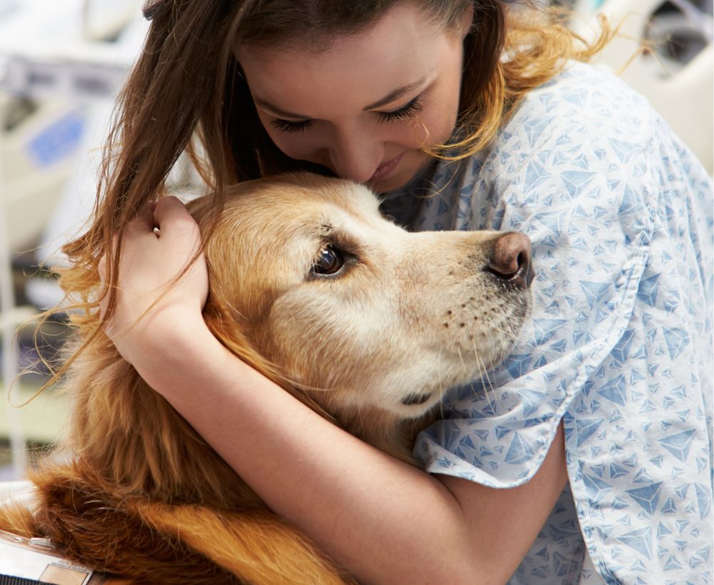 A person in a hospital gown hugs a golden retriever dog A person in a hospital gown hugs a golden retriever dog