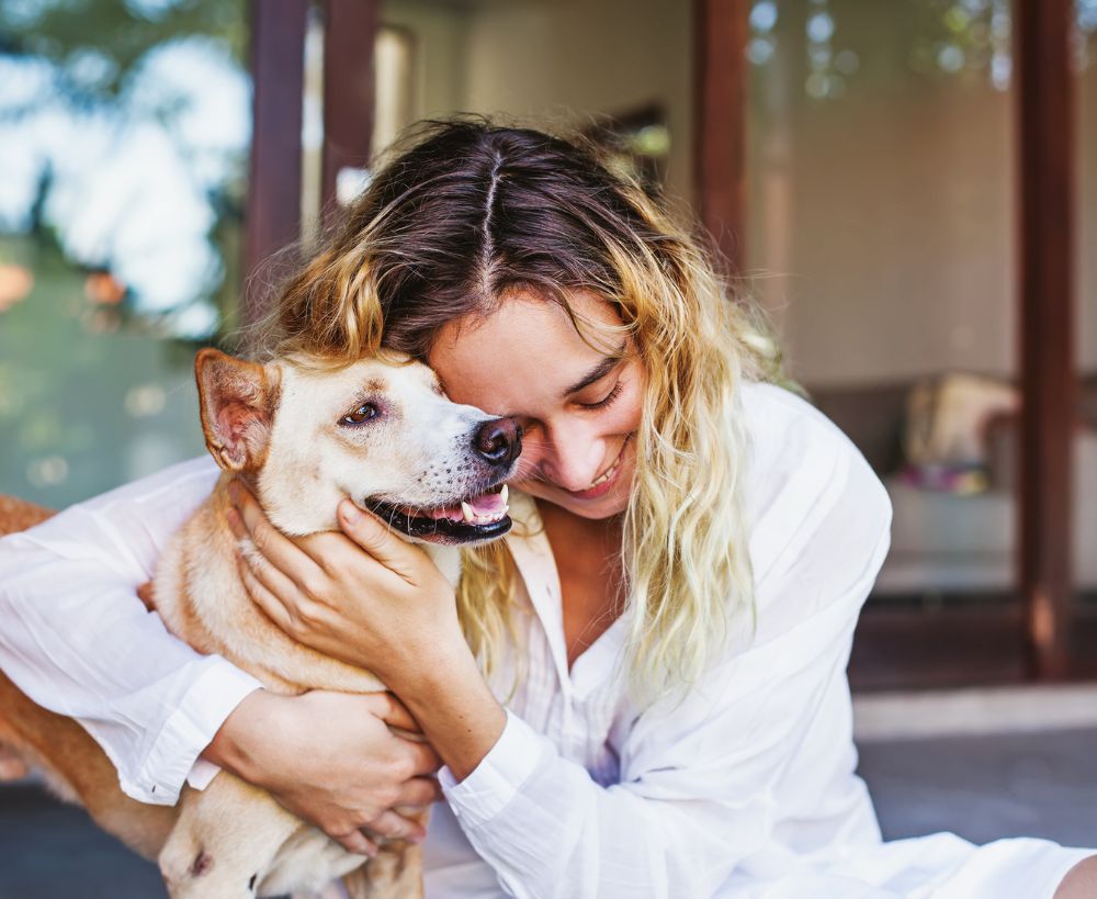 A person in a white shirt is hugging a light brown dog with its eyes closed A person in a white shirt is hugging a light brown dog with its eyes closed