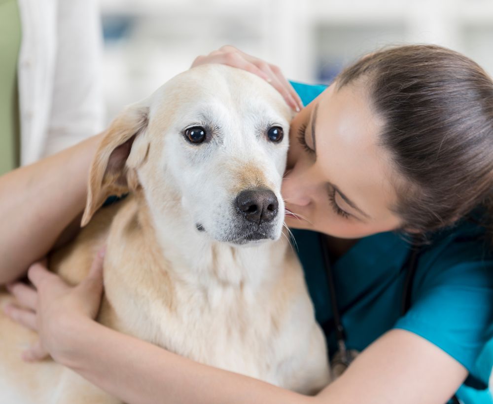 A person wearing a teal uniform gently hugs and kisses