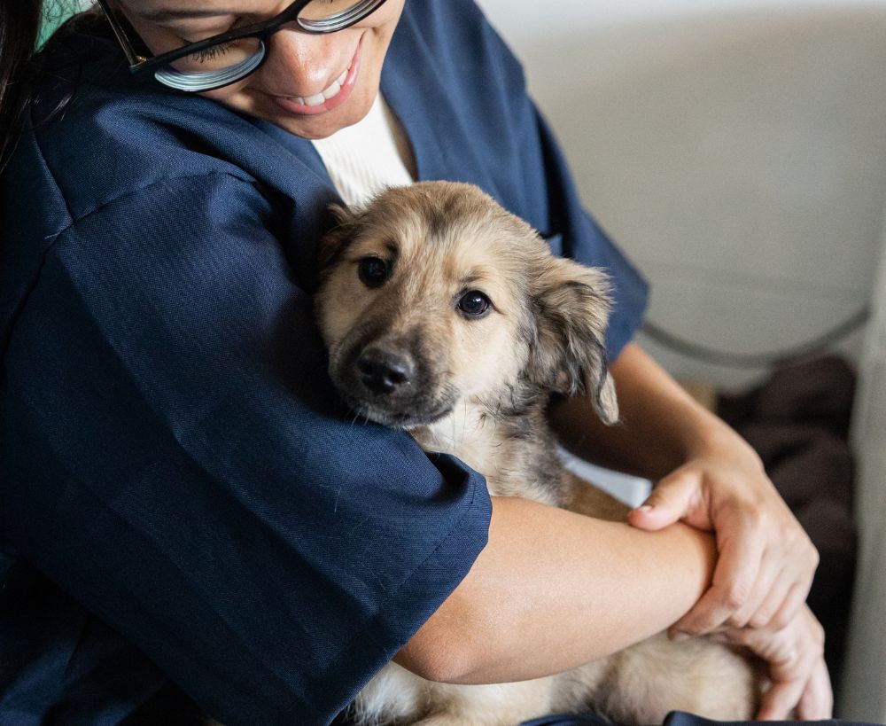 A person wearing glasses puppy in their arms A person wearing glasses puppy in their arms