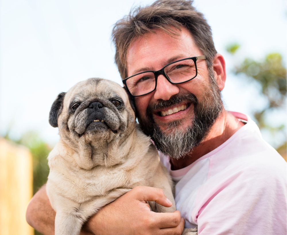 A veterinarian examines a dog wearing an Elizabethan collar in a clinic setting A veterinarian examines a dog wearing an Elizabethan collar in a clinic setting