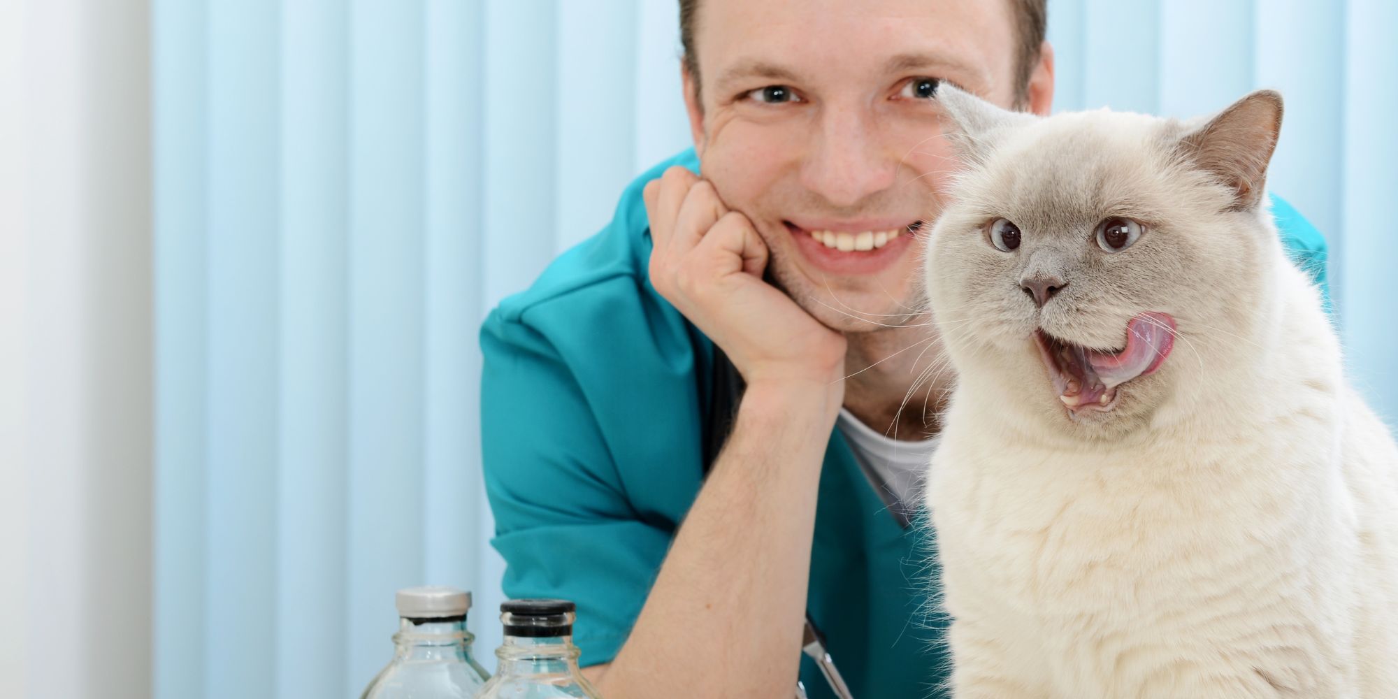 Pet Cryosurgery In Lillington, NC | Lillington Veterinary Hospital