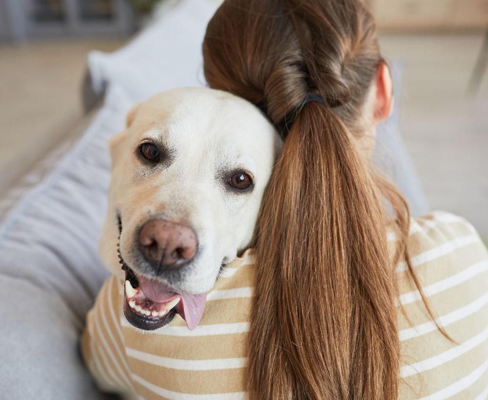 A white dog with its head resting on a person's shoulder A white dog with its head resting on a person's shoulder