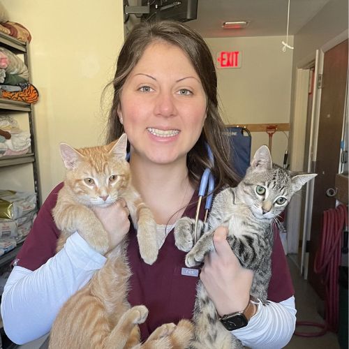 Dr. Erin Byrne Dr. Erin Byrne