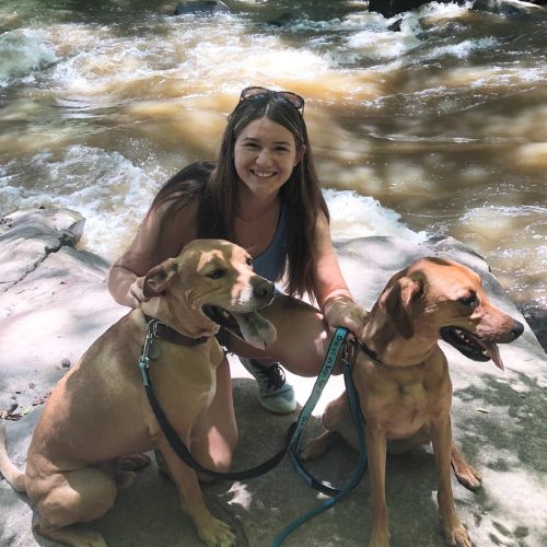 Stephanie Hasapis Stephanie Hasapis